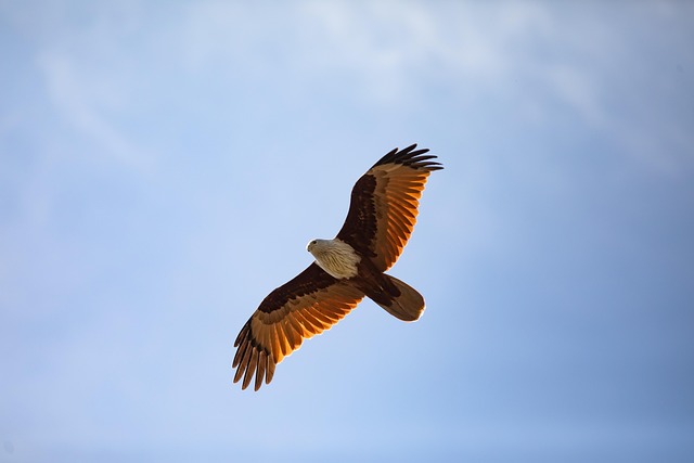 青空